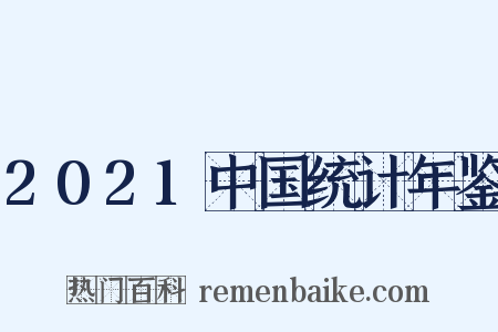 2021中国统计年鉴是什么意思的图片